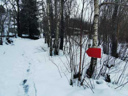 Picture of a red arrow showing where to go. There is forest around and a lot of snow on the ground.