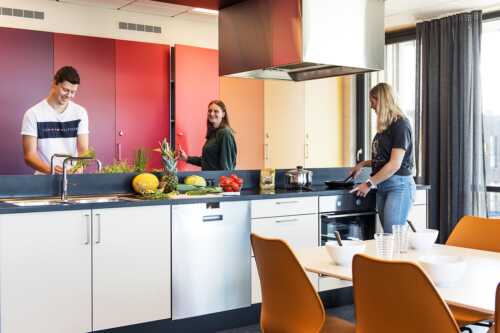 Felleskjøkken på Røstad studentboliger