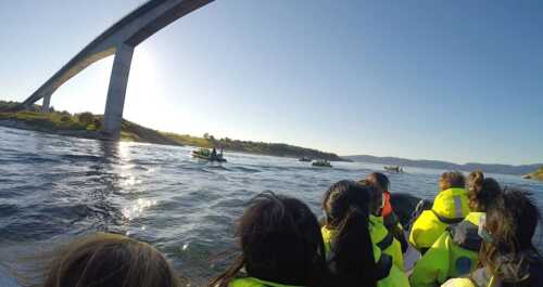Searafting i Saltstraumen